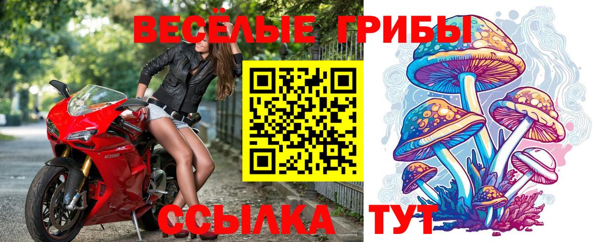 Псилоцибиновые грибы GOLDEN TEACHER  Псилоцибиновые грибы ЛСД  где купить наркоту  Лесозаводск  Вход с VPN 